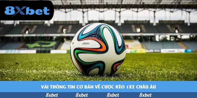Vài thông tin cơ bản về cược kèo 1x2 châu Âu